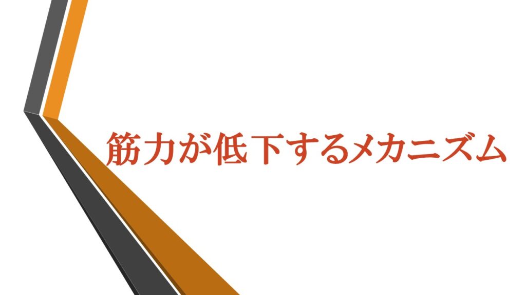 『筋力が低下するメカニズム』ロゴ画像